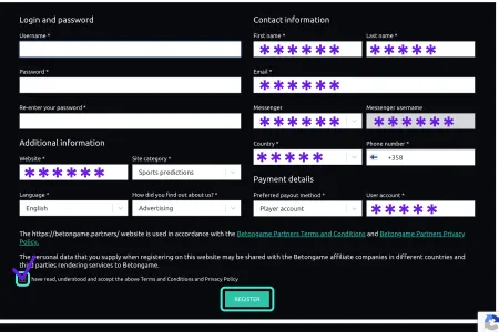 450х300_2 (3)BetOnGame Affiliate Program Sign Up Process step 2